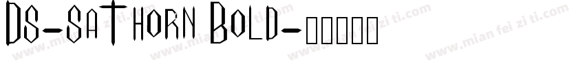 DS-SaThorn Bold字体转换